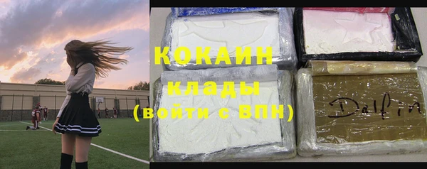 mix Бородино