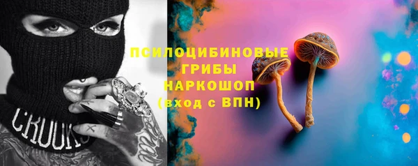 mix Бородино