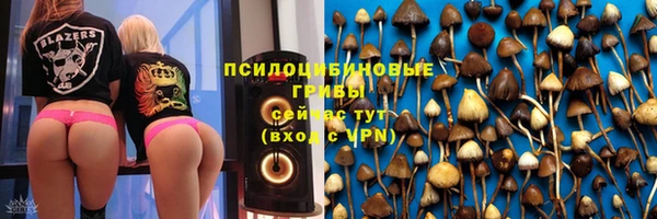 mix Бородино