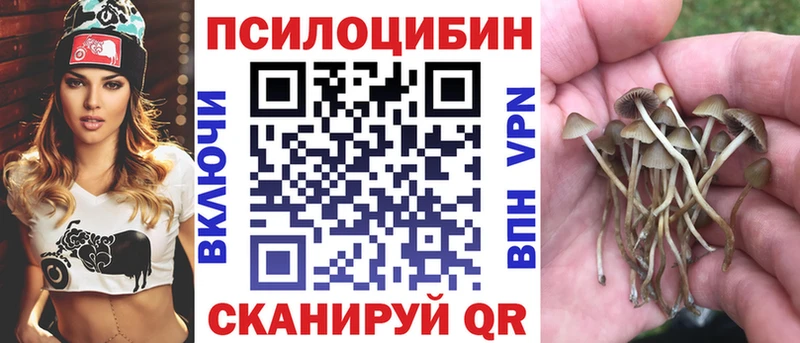 OMG ССЫЛКА  наркота  Володарск  Галлюциногенные грибы Psilocybine cubensis 